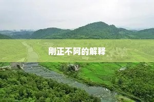 刚正不阿的解释