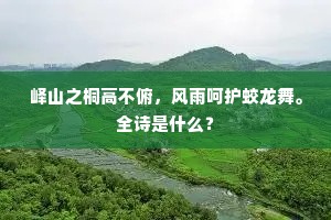 峄山之桐高不俯，风雨呵护蛟龙舞。全诗是什么？