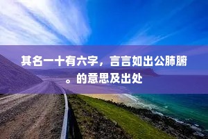 其名一十有六字，言言如出公肺腑。的意思及出处
