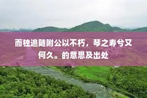 而独追随附公以不朽，琴之寿兮又何久。的意思及出处