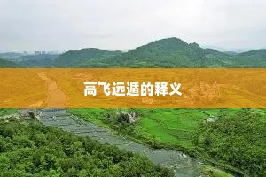 高飞远遁的释义