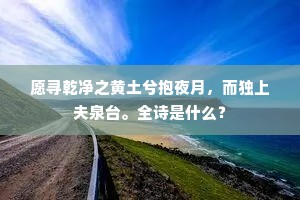 愿寻乾净之黄土兮抱夜月，而独上夫泉台。全诗是什么？