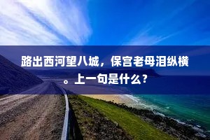 路出西河望八城，保宫老母泪纵横。上一句是什么？