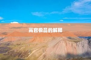 高官极品的解释