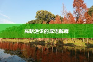 高明远识的成语解释