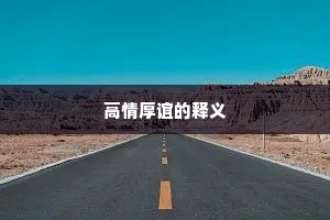 高情厚谊的释义