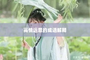 高情远意的成语解释