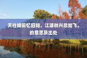 天柱峰前忆旧知，江湖秋兴总如飞。的意思及出处