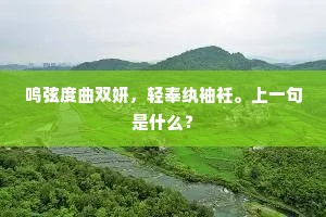 鸣弦度曲双妍，轻奉纨袖衽。上一句是什么？