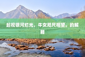 起视银河烂光，牛女咫尺相望。的解释