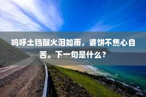 呜呼土铛敲火泪如雨，婆饼不焦心自苦。下一句是什么？