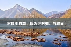 材良不自弃，偶为匠石知。的释义