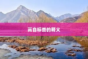 高自标誉的释义