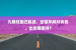 九载忧勤已陈迹，空留双阙对青嵩。出自哪首诗？