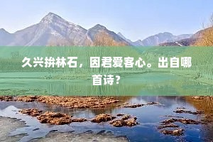 久兴拚林石，因君爱客心。出自哪首诗？