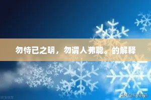 勿恃已之明，勿谓人弗聪。的解释