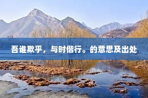 吾谁欺乎，与时偕行。的意思及出处