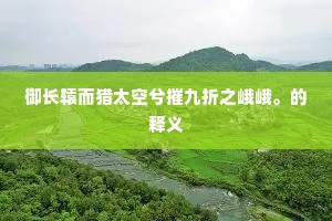 御长辕而猎太空兮摧九折之峨峨。的释义