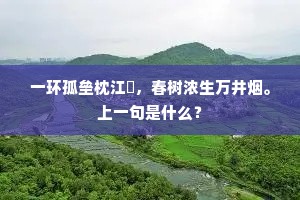 一环孤垒枕江壖，春树浓生万井烟。上一句是什么？
