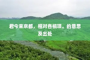 君今来京都，相对各槁项。的意思及出处