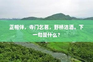 正相伴，寺门乞茗，野桥沽酒。下一句是什么？