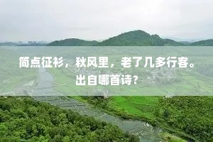 简点征衫，秋风里，老了几多行客。出自哪首诗？