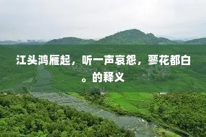 江头鸿雁起，听一声哀怨，蓼花都白。的释义