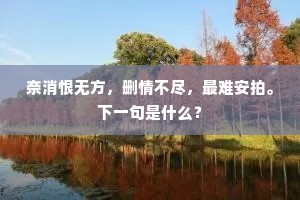 奈消恨无方，删情不尽，最难安拍。下一句是什么？