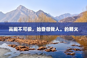 高阁不可极，始登徵我人。的释义