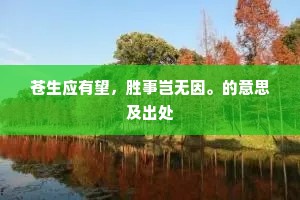 苍生应有望，胜事岂无因。的意思及出处