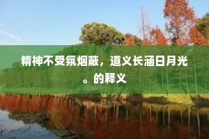 精神不受氛烟蔽，道义长涵日月光。的释义