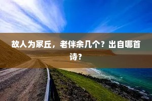 故人为冢丘，老伴余几个？出自哪首诗？