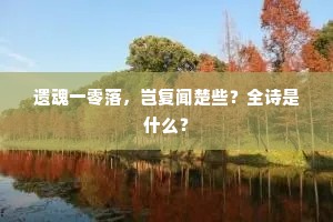 遗魂一零落，岂复闻楚些？全诗是什么？