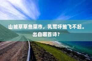 山城草草鱼菜市，乳莺呼雏飞不起。出自哪首诗？