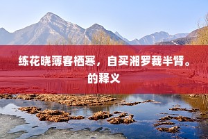 练花晓薄客栖寒，自买湘罗裁半臂。的释义