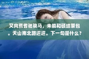 又向焉耆驰骏马，未能和硕结蒙包。天山南北路迢迢。下一句是什么？