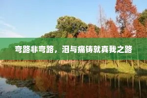 弯路非弯路，泪与痛铸就真我之路