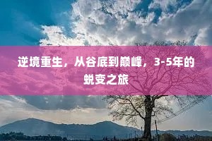 逆境重生，从谷底到巅峰，3-5年的蜕变之旅