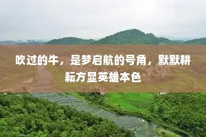 吹过的牛，是梦启航的号角，默默耕耘方显英雄本色