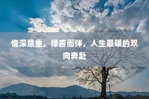 情深意重，择善而伴，人生最暖的双向奔赴
