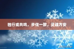 独行或共鸣，步伐一致，灵魂方安
