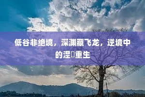 低谷非绝境，深渊藏飞龙，逆境中的涅槃重生