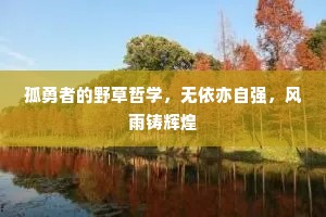 孤勇者的野草哲学，无依亦自强，风雨铸辉煌