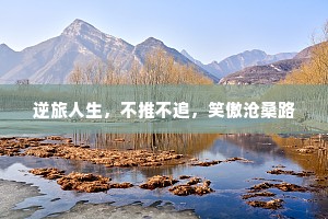 逆旅人生，不推不追，笑傲沧桑路