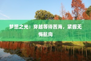 梦想之光：穿越等待苦海，紧握无悔航向