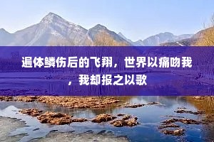 遍体鳞伤后的飞翔，世界以痛吻我，我却报之以歌