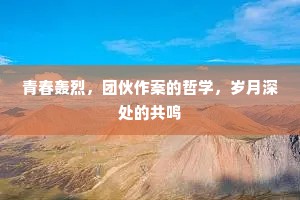 青春轰烈，团伙作案的哲学，岁月深处的共鸣