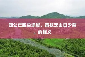 知公已脱尘涂屣，策杖芝山日少萦。的释义