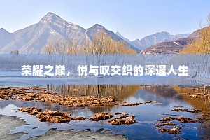荣耀之巅，悦与叹交织的深邃人生