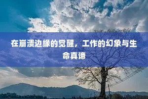 在崩溃边缘的觉醒，工作的幻象与生命真谛